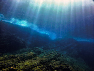 看花海适合发朋友圈的句子有哪些？